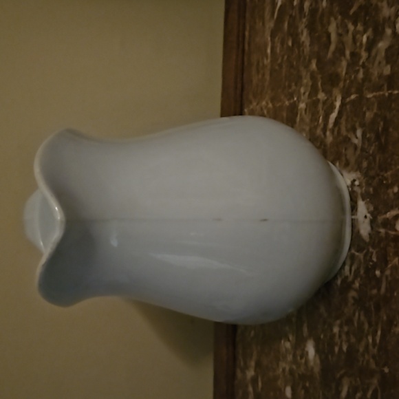 Antique 1800s Burgess and Goddard Royal Patent Ironstone - Picture 3 of 4